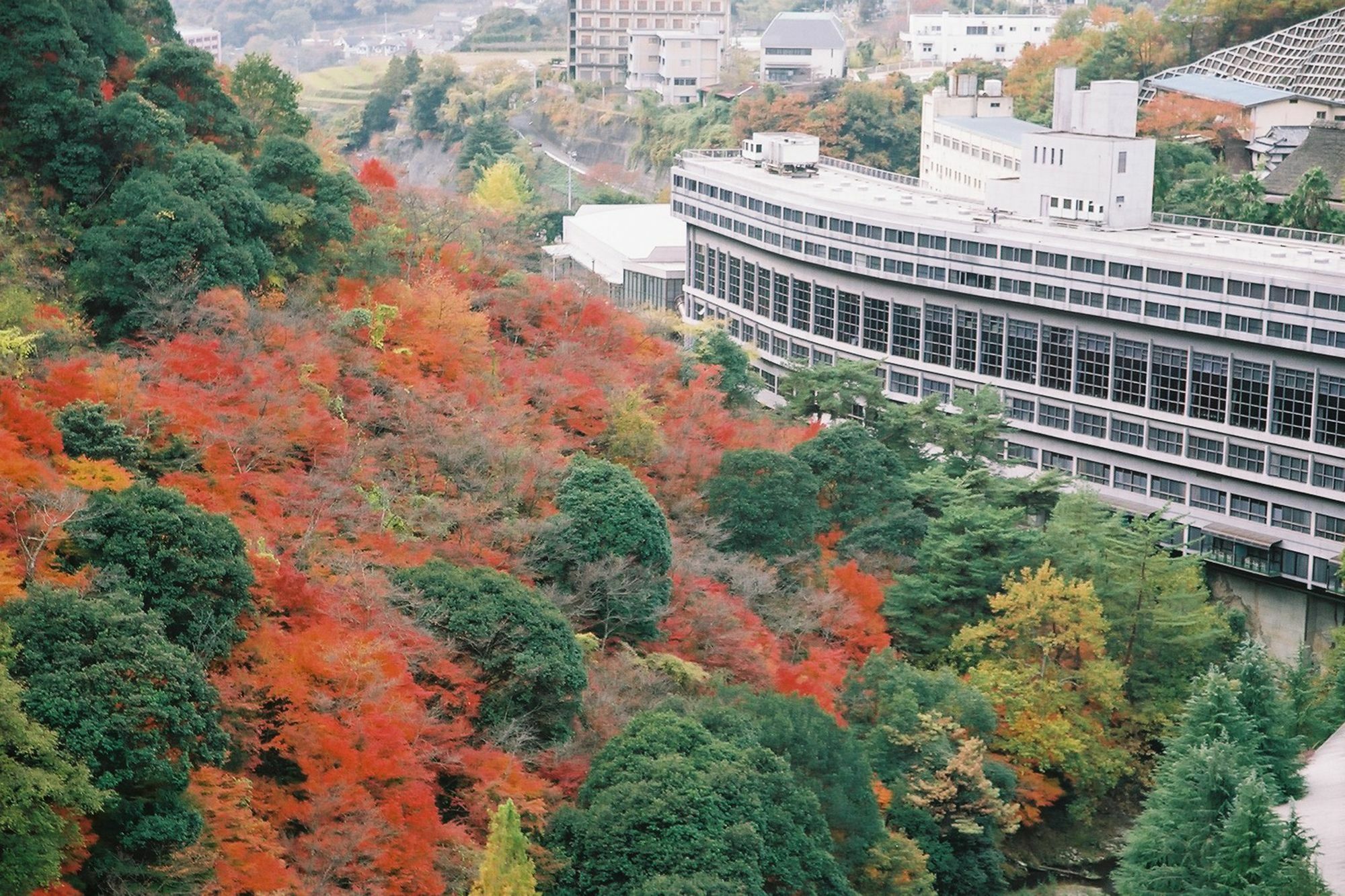 Okudogo Ichiyunomori Hotel Matsuyama  Buitenkant foto